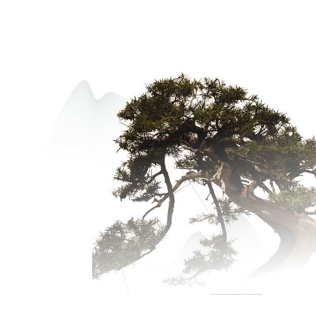 Nhẫn tròn ép vỉ Kim Gia Bảo