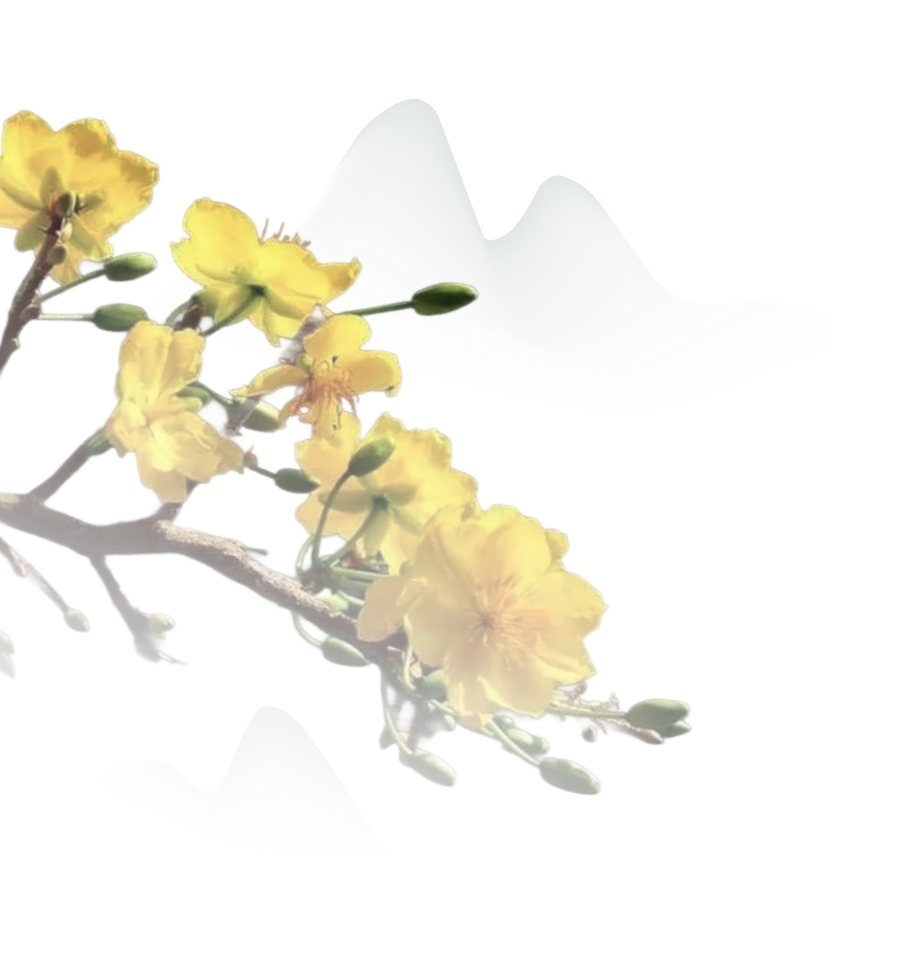 Tiểu Kim Cát Tứ Quý Thịnh Vượng