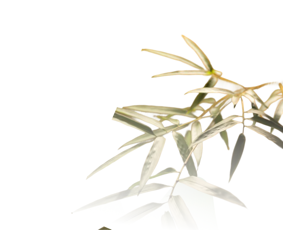 Kim Gia Bảo Tứ Quý Thịnh Vượng